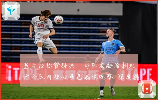 塞古拉称赞孙兴慜与队友融洽相处幸会队内核心角色战术观察-深度解析